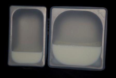 Contents sealed (milk)